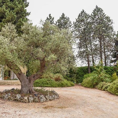 Villa Luciana Martina Franca Exterior photo